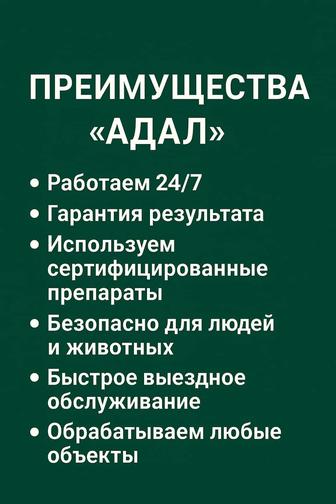 Дизенфекция Тараканы Алматы Качественно и быстро избавим вас от клопов