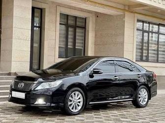 Перевозка пассажиров межгород