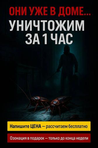 Дезинфекция дезинсекция дератизация