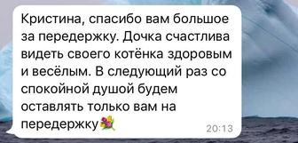 Передержка животных