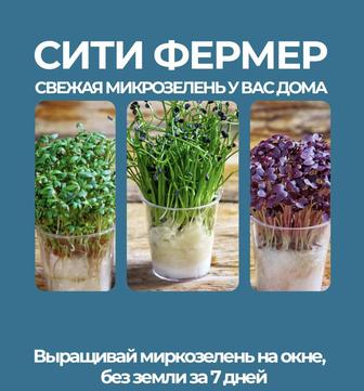 Курс по микрозелени