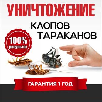 Дезинфекция от тараканов и клопов с гарантией 1 год