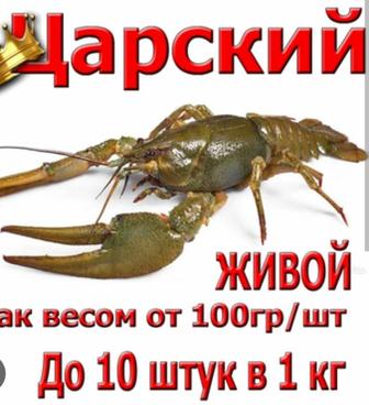 Живые раки