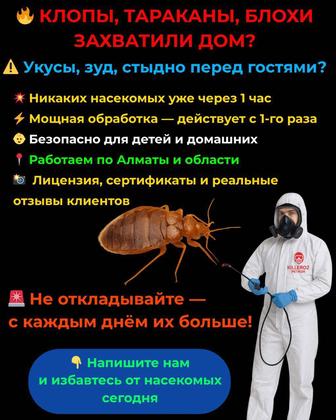 уничтожение клопов, тараканов