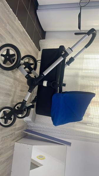 Коляска bugaboo buffalo royal blue 2 В 1 на шасси BLACK