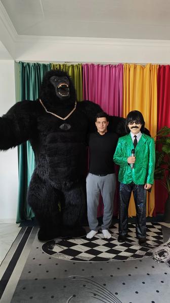 Аниматор Хамдам