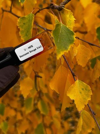 Продаю французский парфюм