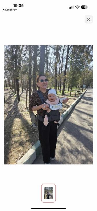 Кенгру