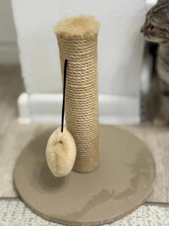 Когтеточка