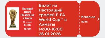 Билет FIFA world cup event