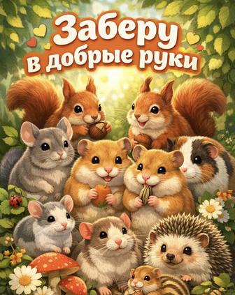 декоративные животные