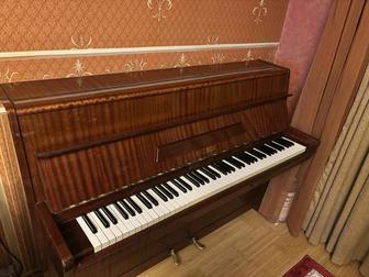 Пианино Petrof