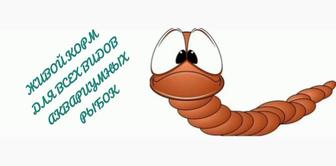 Корм для рыбок