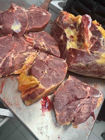 В продаже мясо конины