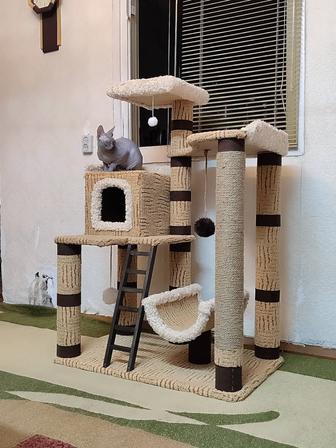 Комплекс для кошек.