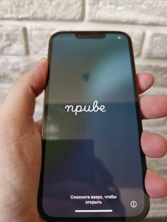 iPhone 13 pro 1TB