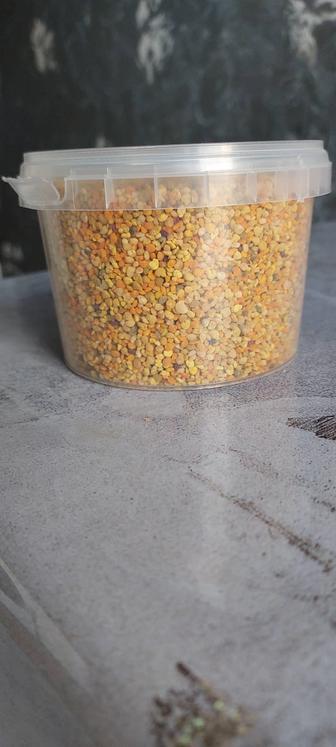 Пыльца цветочная