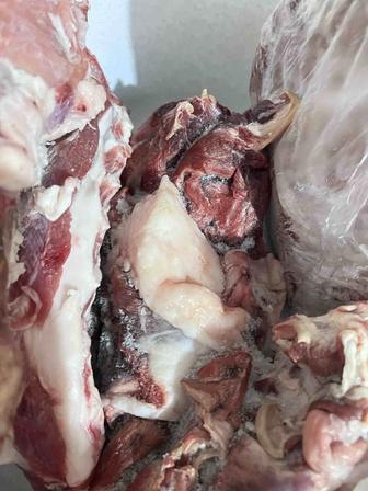 Продам Мясные кости баранина