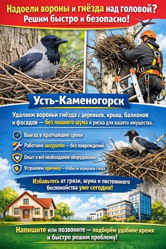 Убираем вороньи гнёзда