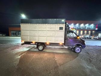 Грузоперевозки