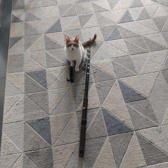 Продам телескопическую удочку