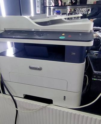 Принтер Xerox