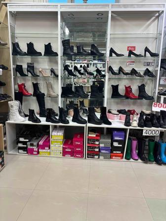 Продам торговое оборудование (витрина )