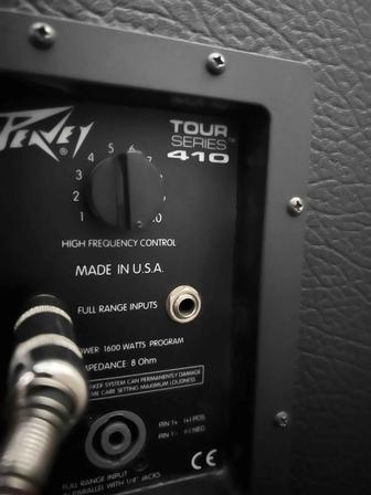 Барсовый кабинет и голова peavey tour 410