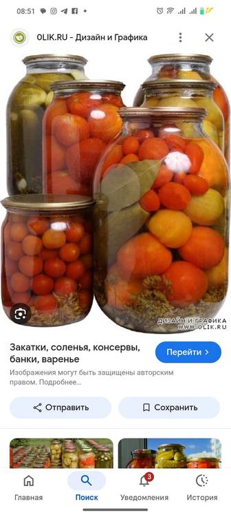 Соленья на зиму