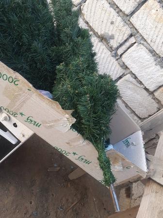 Шырша сатылады.атырау курилкен 25