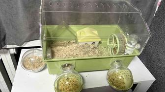 Джунгарские хомячки с клетками