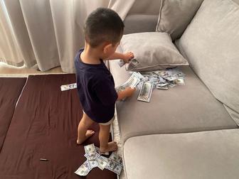 Обучаю заработку в тендерах и госзакупках