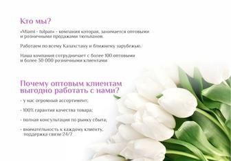 Тюльпаны по Выгодным ценам!