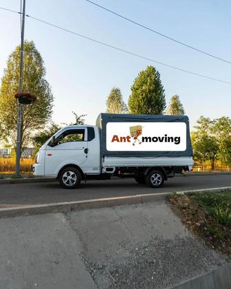 Грузоперевозки